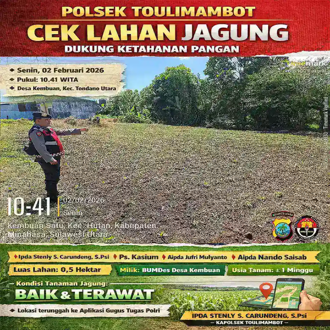 POLSEK TOULIMAMBOT LAKSANAKAN PENGECEKAN LAHAN JAGUNG DUKUNG PROGRAM KETAHANAN PANGAN