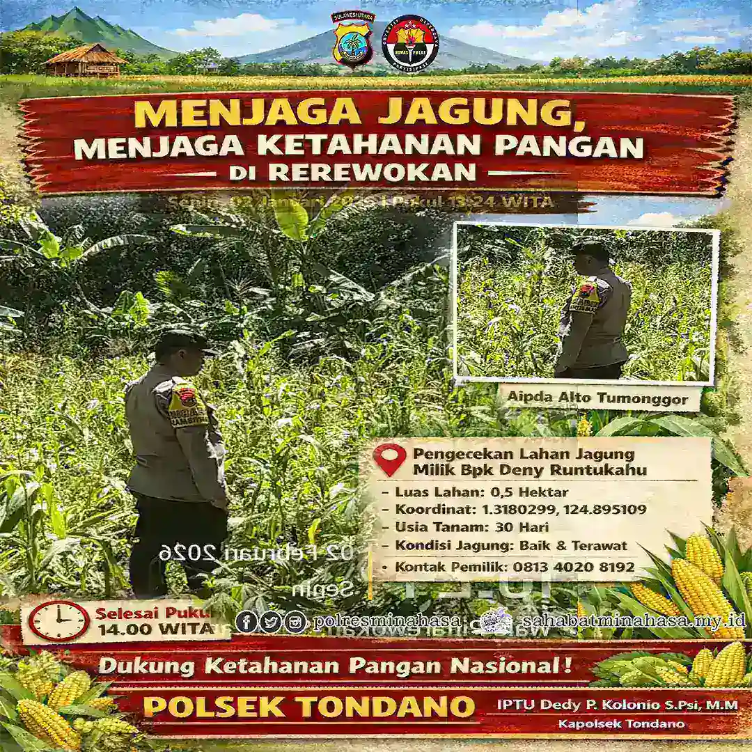 Menjaga Jagung, Menjaga Ketahanan Pangan di Rerewokan
