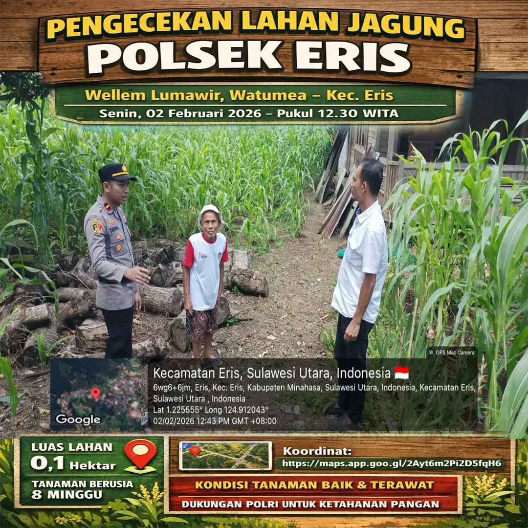 Menjaga Harapan dari Ladang Jagung Watumea
