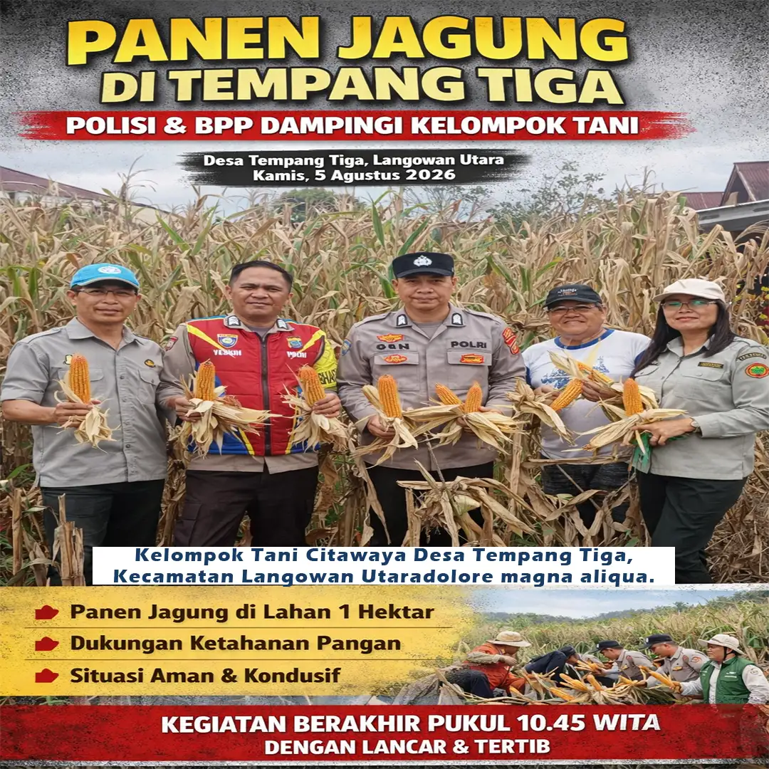 Panen Jagung di Tempang Tiga, Polisi dan Penyuluh Pertanian Dampingi Kelompok Tani